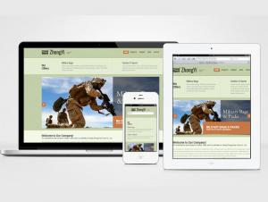 38: SEO, HTML5 Responsive, Multilingual Website