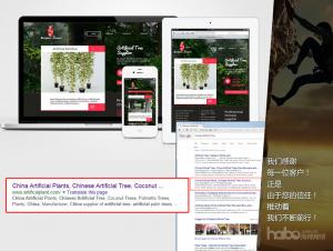 37: Search Engine Marketing Website
