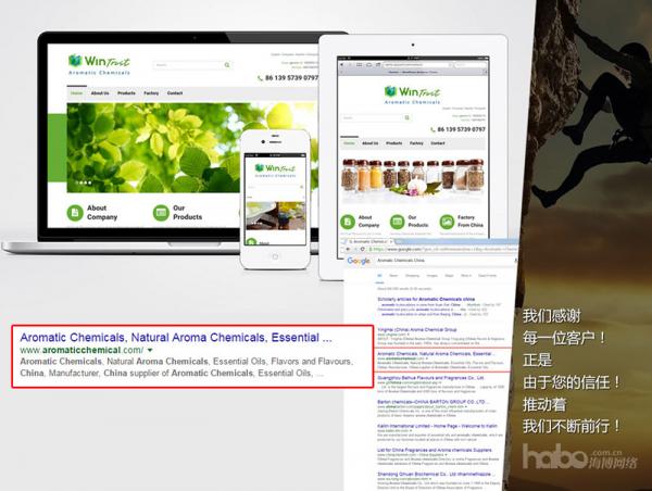 36: WEBSITE FOR SEARCH ENGINE